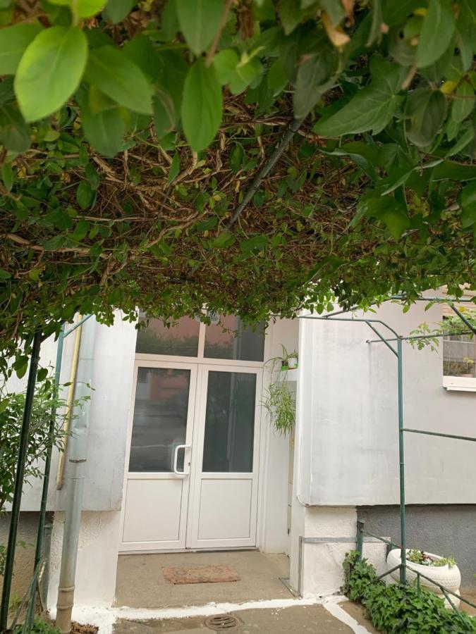 Cazare Medias, Apartament Modern Mediaş Exterior foto