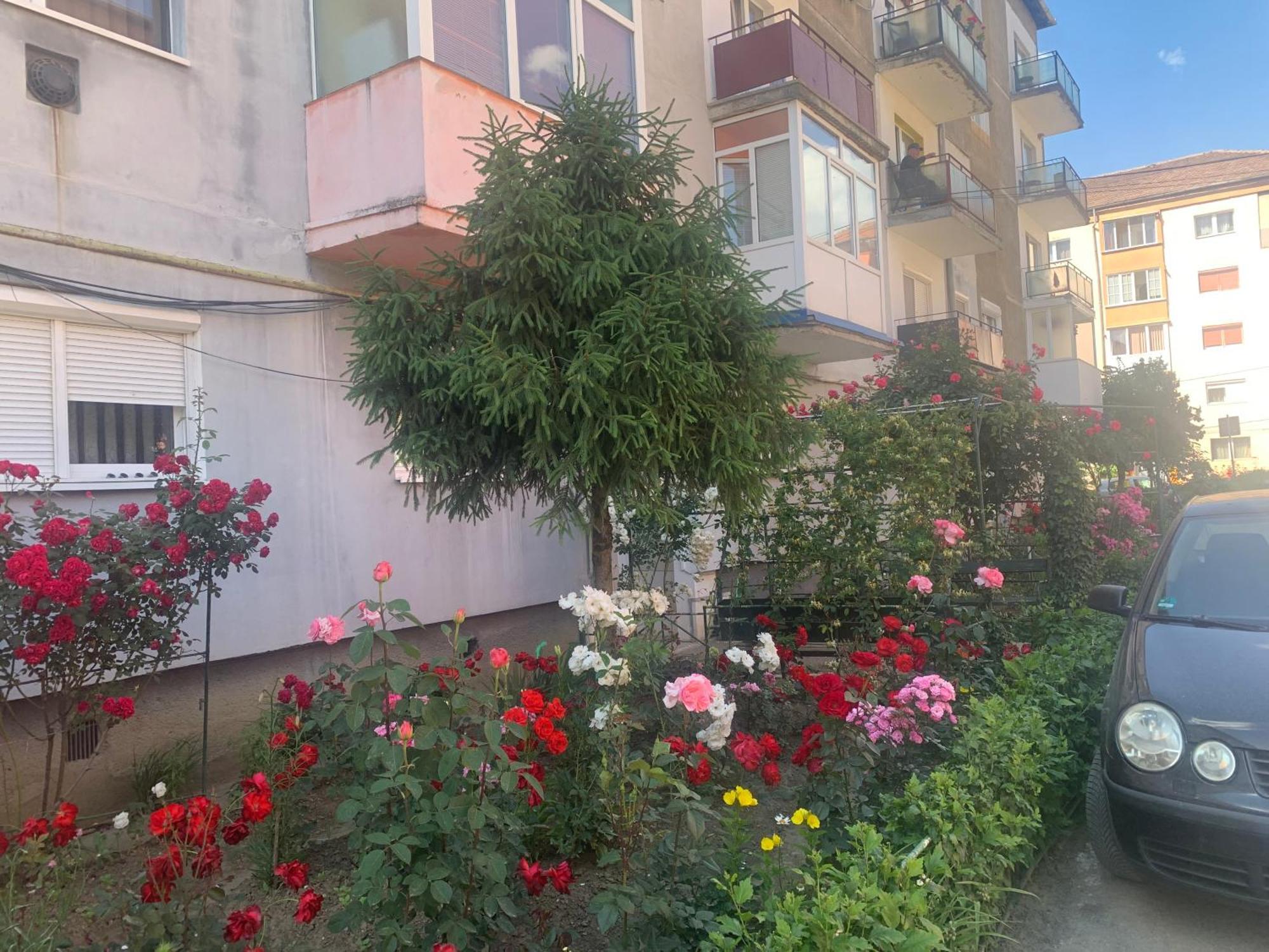 Cazare Medias, Apartament Modern Mediaş Exterior foto